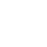 LeapVerse